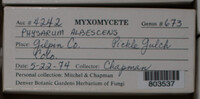 Image Associated With the Occurence